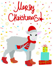 Vector illustration of a sheep in hat and scarf and socks on confetti background. Winter christmas greeting card. Flat graphic