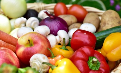 Fresh organic summer harvested vegetables washed and ready for preparing healthy meals and side dishes to share as a family