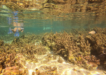 Plongeuse en snorkeling, jardin de corail de Taha'a, Polynésie française	