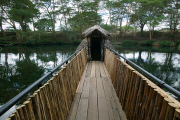 Bridge to Underwater Platform, Tsavo West National Park, Kenya