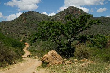 Desert Road, Tsavo West National Park, Kenya