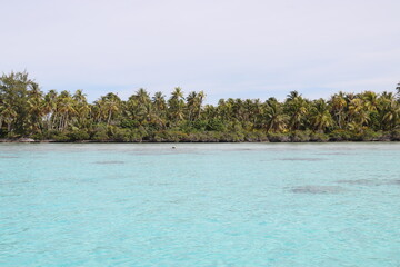  Lagon turquoise à Rangiroa, Polynésie française