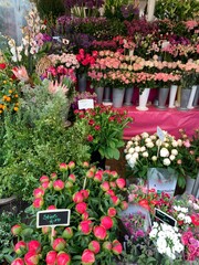 French flower shop