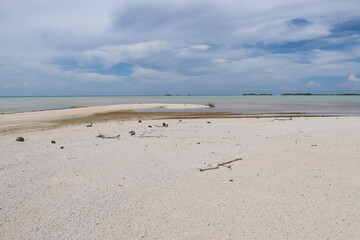 Plage de sable rose à Rangiroa, Polynésie française
