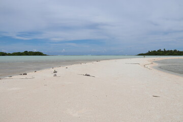 Fototapeta na wymiar Plage de sable rose à Rangiroa, Polynésie française