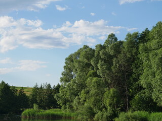 blue sky with forest and river