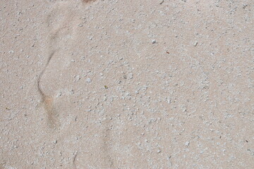 Sable rose à Rangiroa, Polynésie française