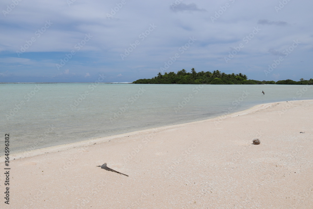 Canvas Prints Plage de sable rose à Rangiroa, Polynésie française