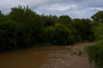 Aerial view of forest and river drones