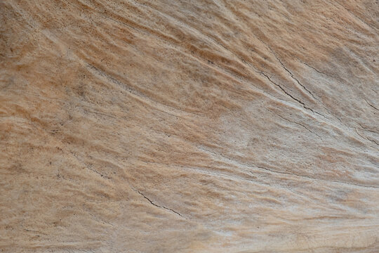 porous texture with lines of yellow color