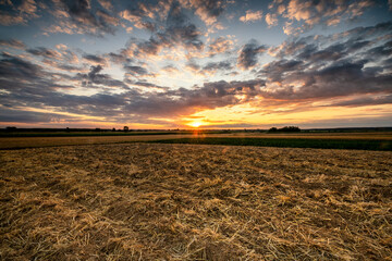 Beautiful Summer Sunset Over Fields