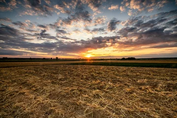 Fotobehang Beautiful summer sunset over fields © Piotr Krzeslak