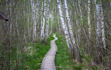 Poleski Park Narodowy, ścieżka Spławy © Artur Rorat