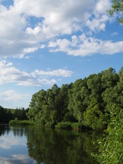 River in the forest. Blue sky and white clouds