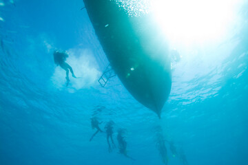 Scuba Divers, Zanzibar, Tanzania, Africa