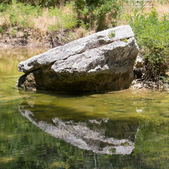 Naklejka na ściany i meble a rock reflected in a shallow stream