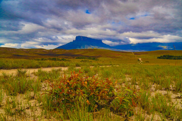 Trekking, camping, aventura, natureza, montanha.