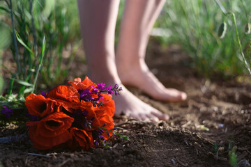 Bouquet of many red poppies with two blurred woman legs on the background. Concept image for your projects.