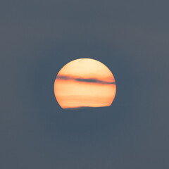 evening sun at hesaraghatta lake 