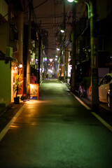 Fototapeta na wymiar japan street city at night