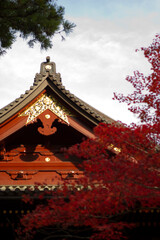 japan  temple near forest wallpaper background