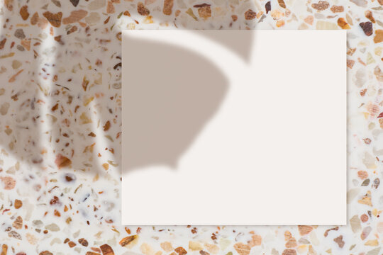 Background with frame and plant shadow