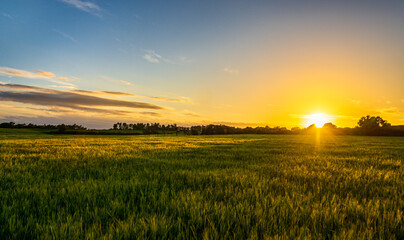 Beautiful Sunset on the field in Catalonya, Spain, Europe