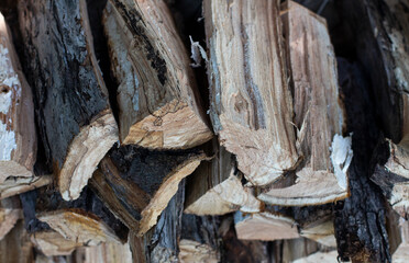 
Stocks of firewood for making a fire
