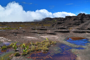 Trekking, camping, aventura, natureza, montanha.