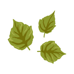 Set of Green Leaves of Plants, Trees and Shrubs, Nature Icons for Your Design. Vector Illustration leaf. Hand drawn painting cartoon style. Design for textile and packaging natural cosmetics, products