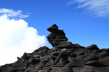 Trekking, camping, aventura, natureza, montanha.