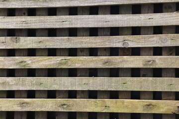 Wooden lattice, horizontaly placed filling whole shot 