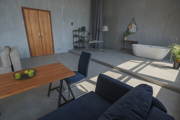 Modern minimalistic dark gray loft style studio apartment interior design. kitchen, sitting area, workplace, shower and bath. bright sun rays inside.