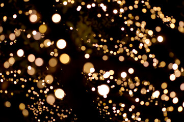 bokeh light around the tree