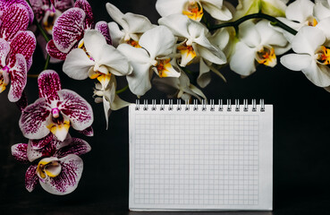 Christmas background. Blank notepad, bright blooming orchid flowers close-up on a dark background. Place for text. Copy space