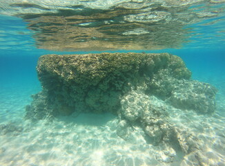Naklejka na ściany i meble Corail du lagon bleu à Rangiroa, Polynésie française