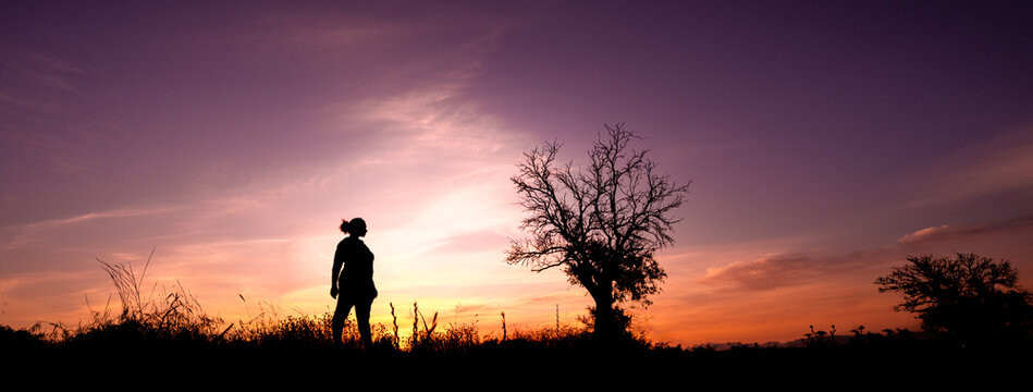 silhouette of a woman gazing at a silhouetted tree in the sunset with orange cloudy skies