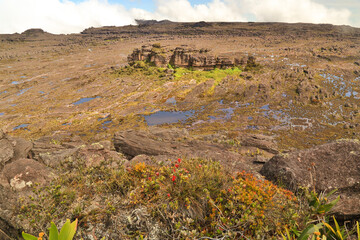 Trekking, camping, aventura, natureza, montanha.