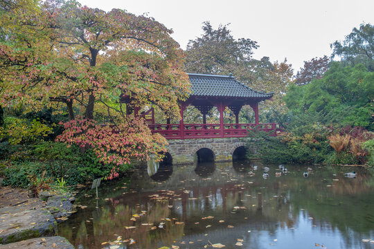 Pond in japanese garden in Leverkusen  - amazing autumn in Germany!