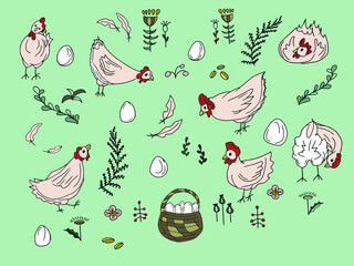 Vector color set of chicken farm doodles: chicken, egg, flowers, grains, herbs, basket, feathers