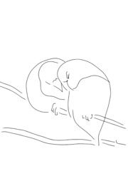 Vector two love birds lovebirds or parrots sitting on a branch gently clinging to each other love lines lines logo graphics