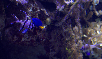 non esiste diversità © Marco