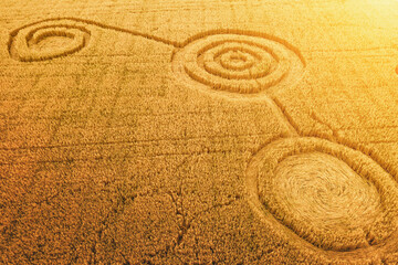 Fototapeta na wymiar Fake UFO circles on grain crop yellow field, aerial view from drone. Round geometry shape symbols as alien signs, mystery concept.