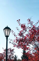 red street lamp