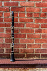 Outdoors Clarinet Classical Instrument