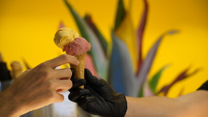 Seller in apron holding ice cream in a waffle cone, close-up. Selling ice cream in a shop