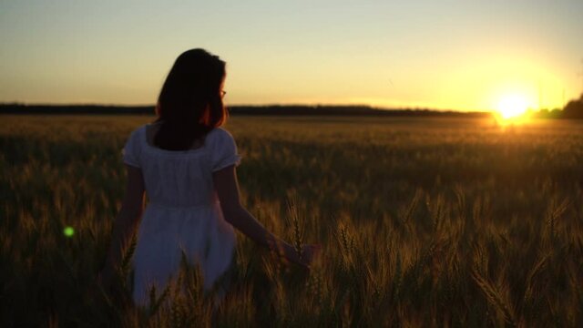 A young woman in a white dress walks through a wheat field at sunset. The girl goes towards the sunset. Back view.