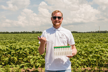 Laboratory worker testing plant sprouts before harvest in the field.