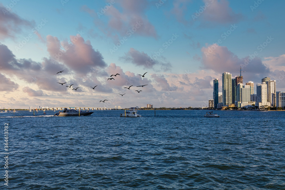 Poster luxury yachts in biscayne bay in miami florida