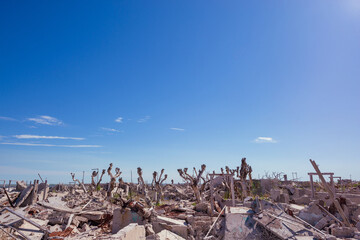 Abandoned town. City abandoned by a flood, in Epecuen ghost town. Dead trees in the lake with its houses in ruins. Desolate landscape